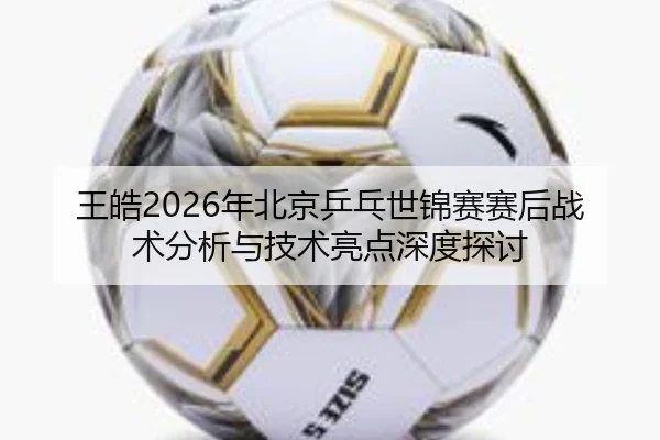 wang-hao-nian-bei-jing-ping-pang-shi-jin-sai-sai-hou-zhan-shu-fen-xi-yu-ji-shu-liang-dian-shen-du-tan-tao-2-562.jpg